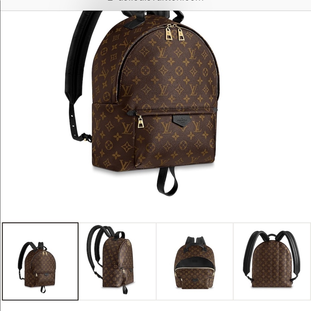 Louis Vuitton back pack 100% authentic
